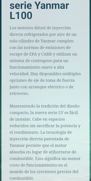 Motor diésel Yanmar L100 N1