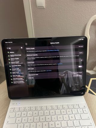 iPad Pro 13 M4 2024 Gris Espacial En garantía.