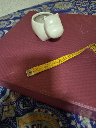 Maceta cerámica diseño animal