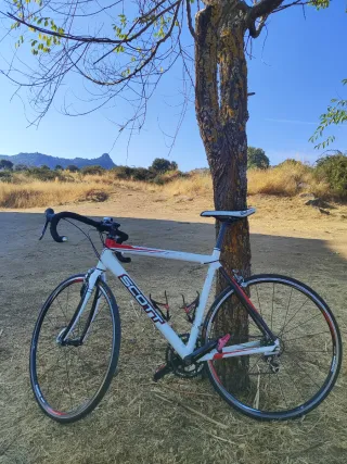 Pedales bici Shimano SPD-SL Automáticos 