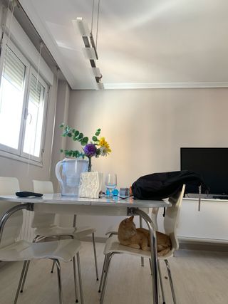Mesa y 6 Sillas Comedor