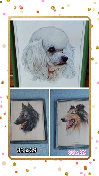 URGE POR MUDANZA!!!
Cuadros de perros