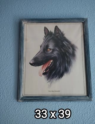 URGE POR MUDANZA!!!
Cuadros de perros