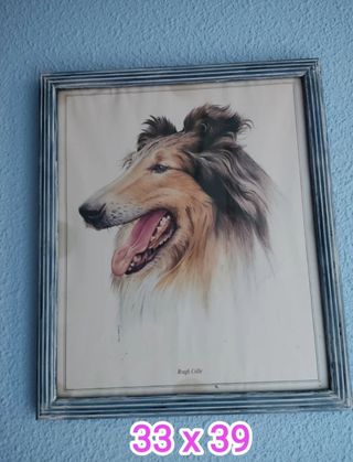 URGE POR MUDANZA!!!
Cuadros de perros