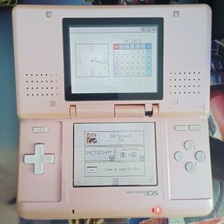 Nintendo DS Fat Pink