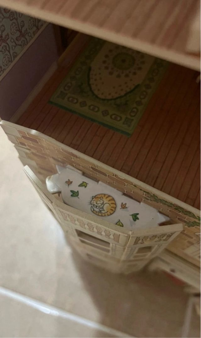 Casa de cartón duro