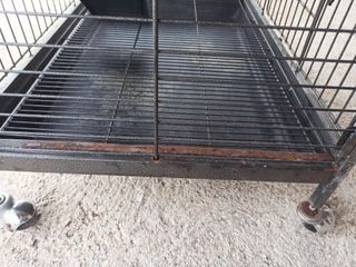 Jaula hurón con ruedas