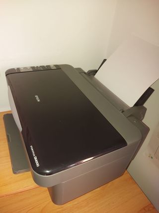 Impresora Epson Stylus DX4000
