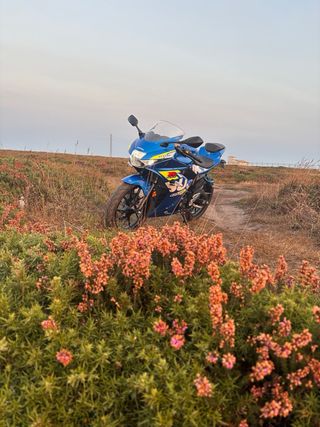 suzuki gsx-r 125 4T