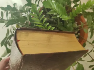 La Santa Biblia