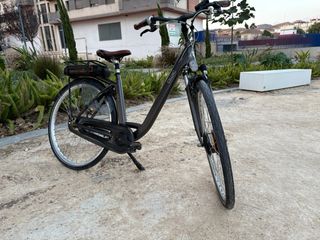 Bicicleta Qwic N.1 Gris
