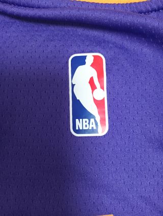 Camiseta NBA Los Ángeles Lakers 23 James Talla L