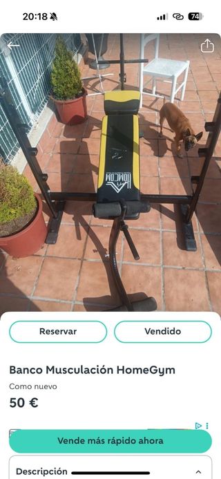 Banco Musculación HomeGym