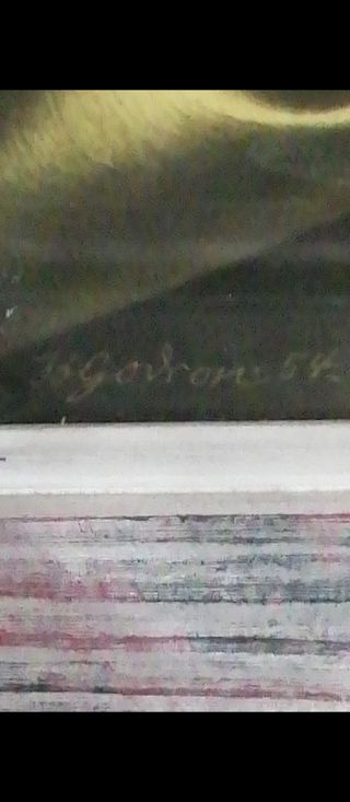 Cuadro Virgen,reproducción Benjamín J Gordon