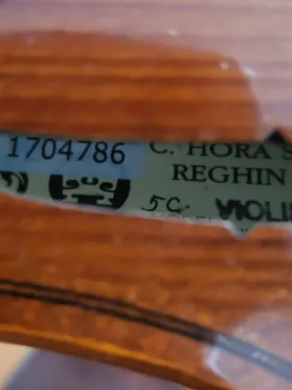 Violín Elite instrumento madera nobles 4/4 REGHIN