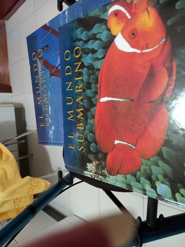 Enciclopedia Mundo Submarino: Vida marina: los ...