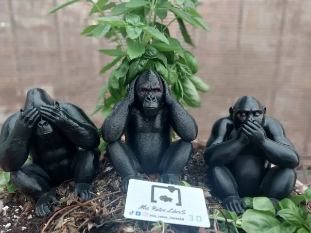 Figuras Gorilas Sabios 3D