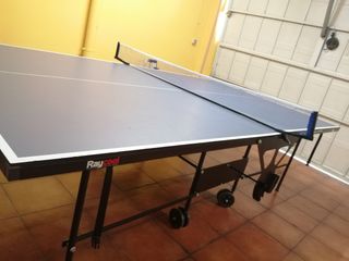 Mesa Ping Pong Ray Cool