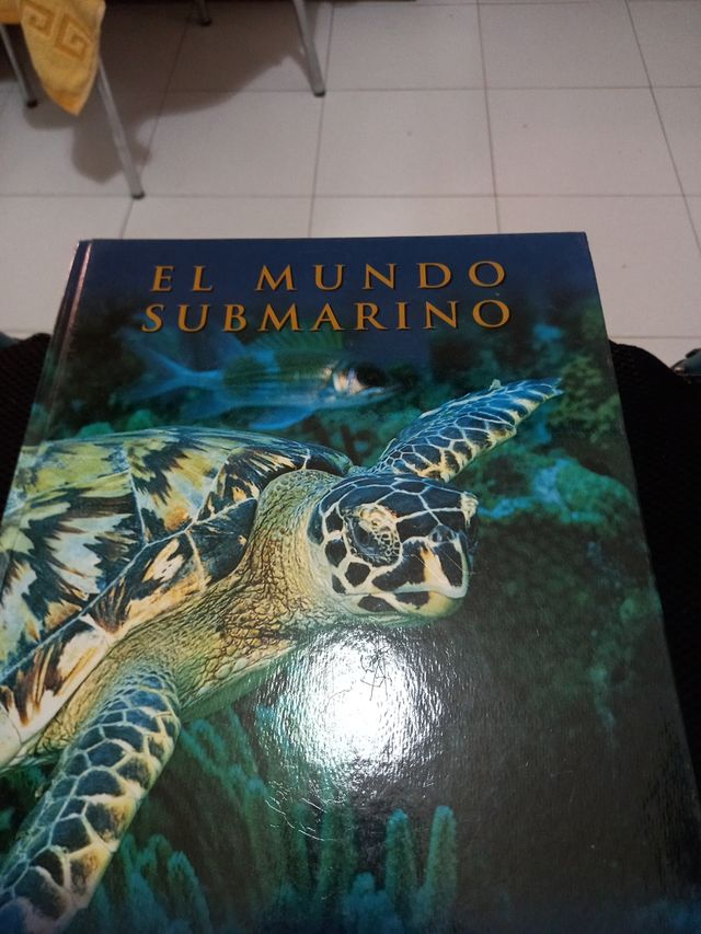 El Mundo submarino