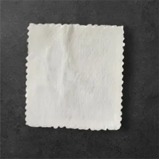 Francobollo porta della Pace Celeste