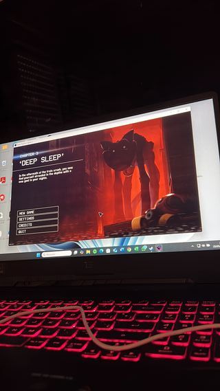 Asus TUF Gaming F15 i7 10870H 16GB 512GB