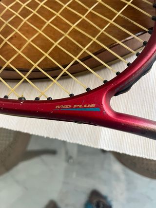 Raquetas de Tenis Prince y Dunlop