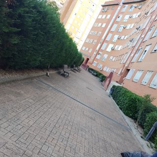 Trabajos de jardinería

-