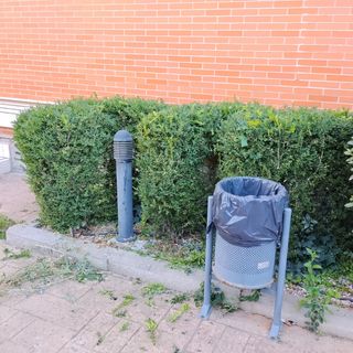 Trabajos de jardinería

-