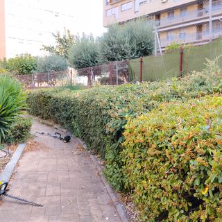 Trabajos de jardinería

-