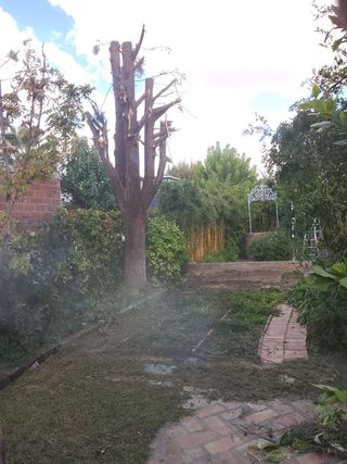 Trabajos de jardinería

-