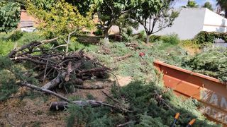Trabajos de jardinería

-