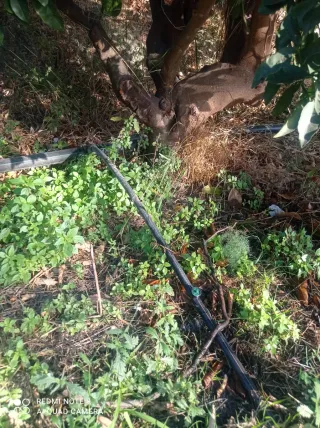 Finca de naranjos en Valle de Lecrin