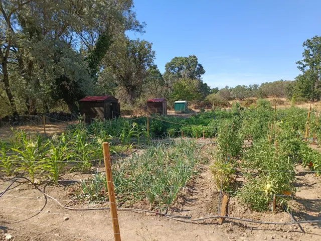 Alquiler de huertos de ocio