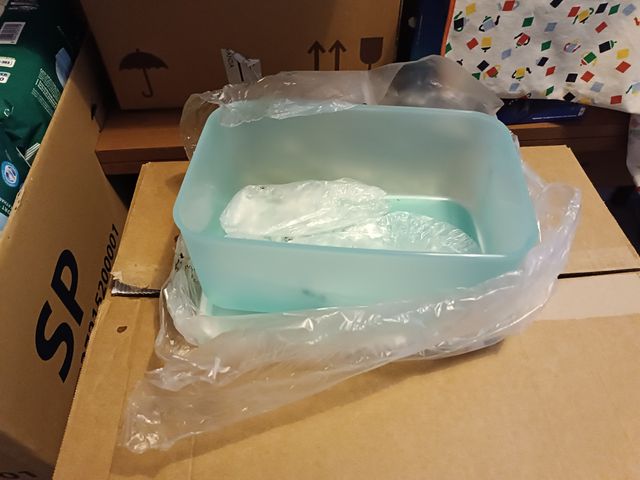 Ciotola Tupperware Azzurro Trasparente