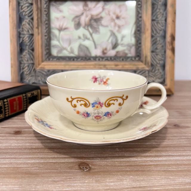 Taza y platillo Arzberg Bavaria porcelana.