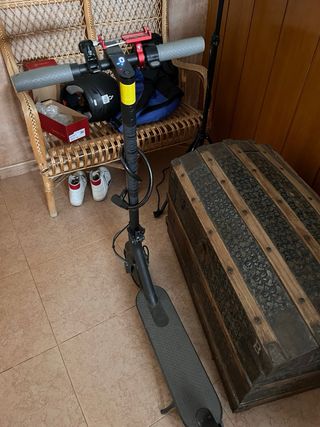 Patinete Eléctrico Xiaomi