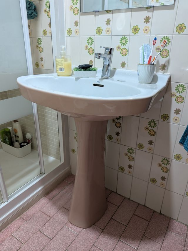 Lavabo y bidé rosa vintage