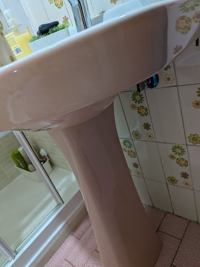 Lavabo y bidé rosa vintage