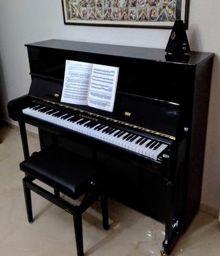 Piano Acústico Bechstein A124