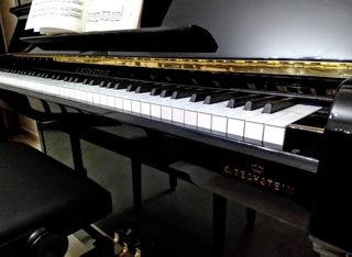 Piano Acústico Bechstein A124
