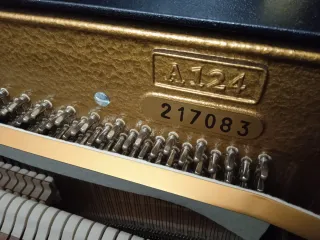 Piano Acústico Bechstein A124