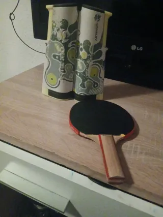 Pala de ping pong y red