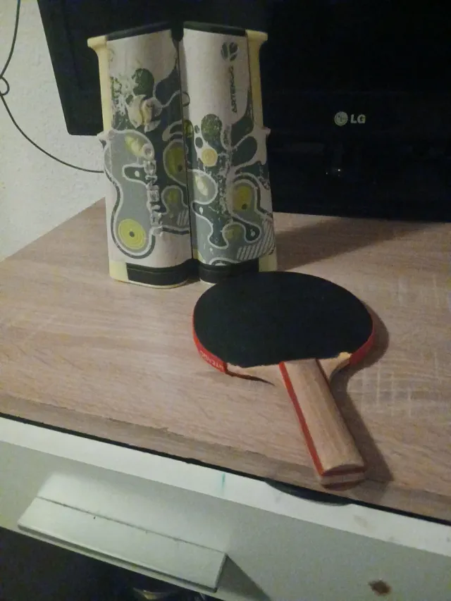 Pala de ping pong y red