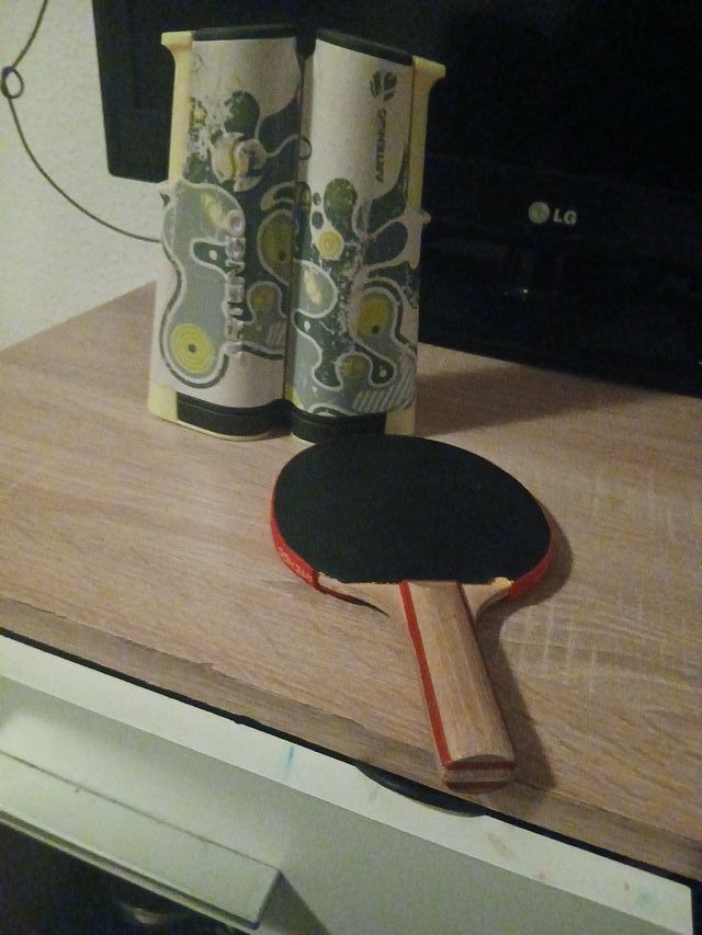 Pala de ping pong y red