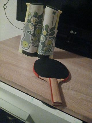 Pala de ping pong y red