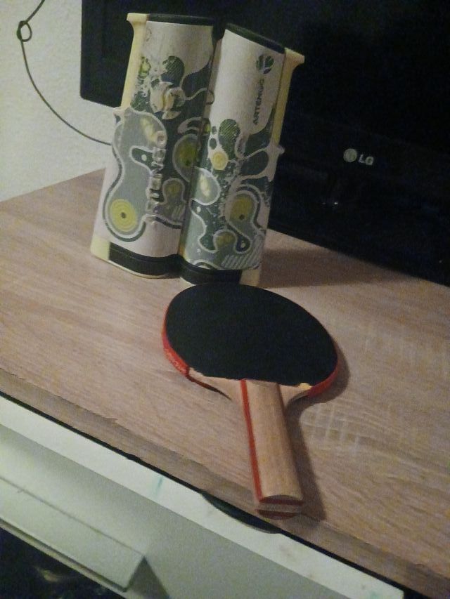 Pala de ping pong y red