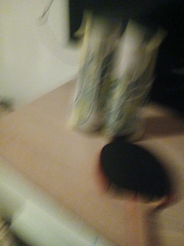 Pala de ping pong y red