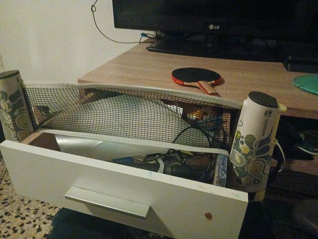 Pala de ping pong y red