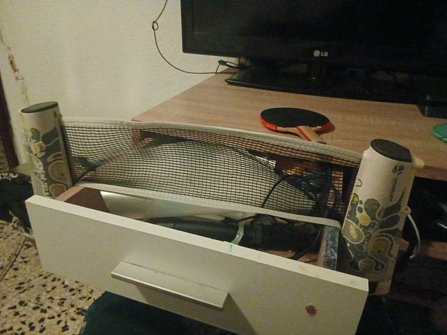 Pala de ping pong y red