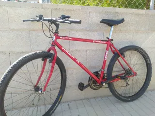 Bicicleta de montaña económica 